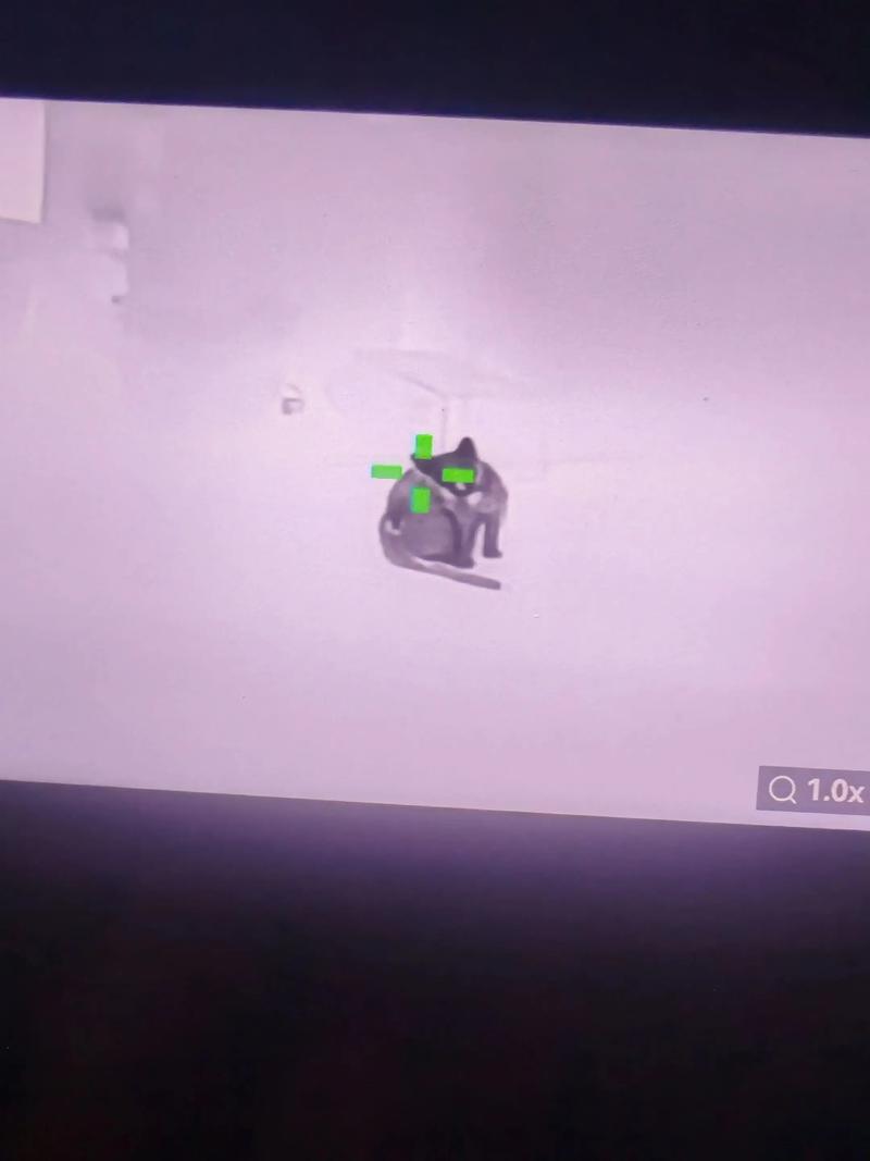 和平精英外挂除草被封了咋办